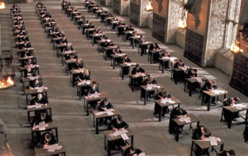 Classes at Hogwarts We Wish We’d Heard More About