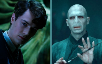 From Man to Monster: Voldemort’s Transformation